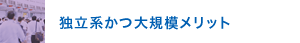 独立系かつ大規模メリット